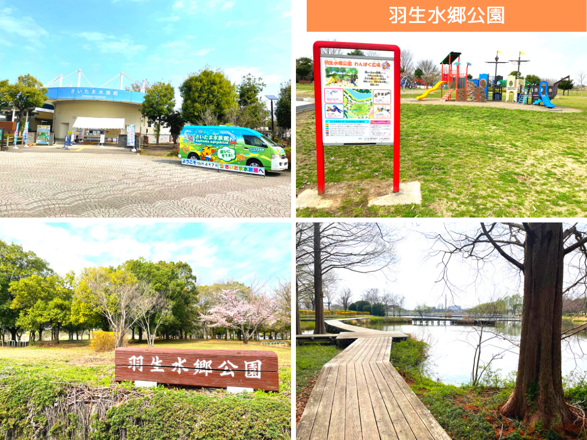 羽生水郷公園